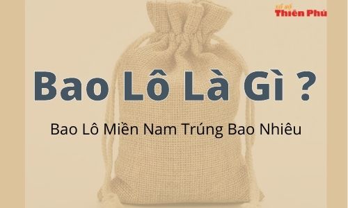 Bao Lô Là Gì